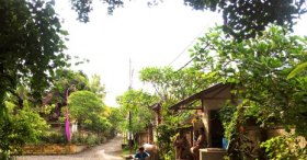 Ubud ve köy evleri