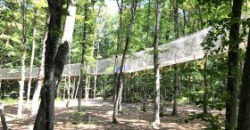 Küçük Çocuk Bölümü