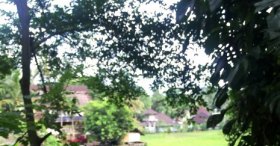 LUWAK KAHVE ÇİFTLİĞİ