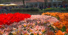 KEUKENHOF PARK restaurant