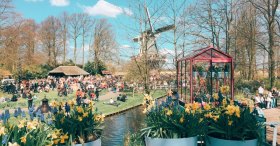 KEUKENHOF PARK