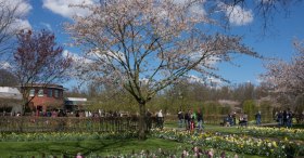 KEUKENHOF PARK