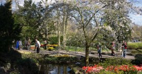 KEUKENHOF PARK