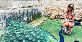 Lokrum adası ve tavus kuşları