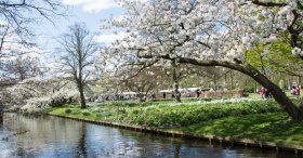 KEUKENHOF PARK