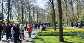 KEUKENHOF PARK