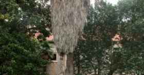 Benedictine Manastırı Lokrum