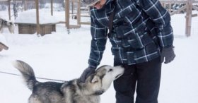 Husky Çiftliği Lapland