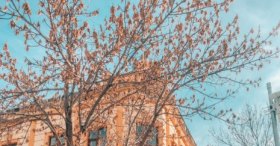 Kars şehir merkezindeki güzel binalar