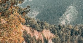 Peri bacaları Artvin