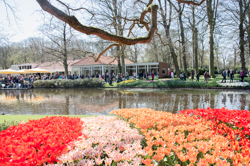 Keukenhof Amsterdam 