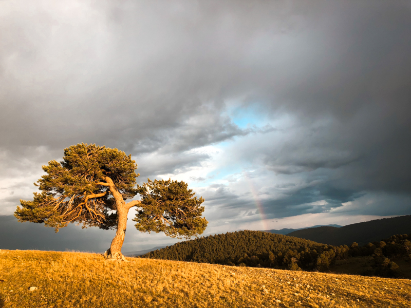 allahu ekber dağları kars erzurum