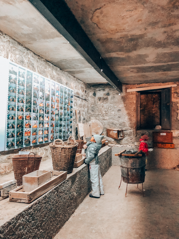 peynir müzesi boğatepe kars
