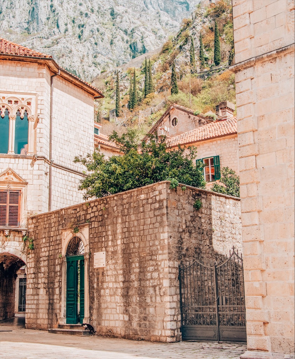 kotor old town
