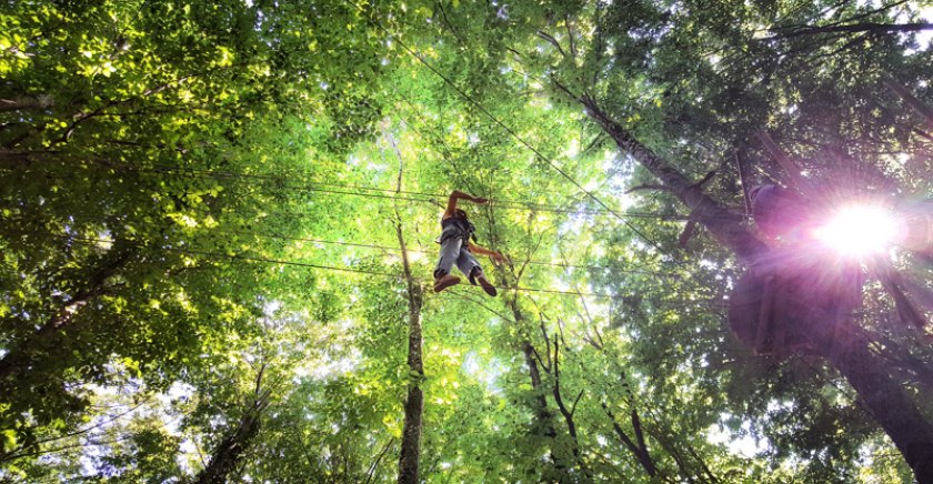 İstanbul'un En Eğlenceli Macera Parkı: Forestanbul