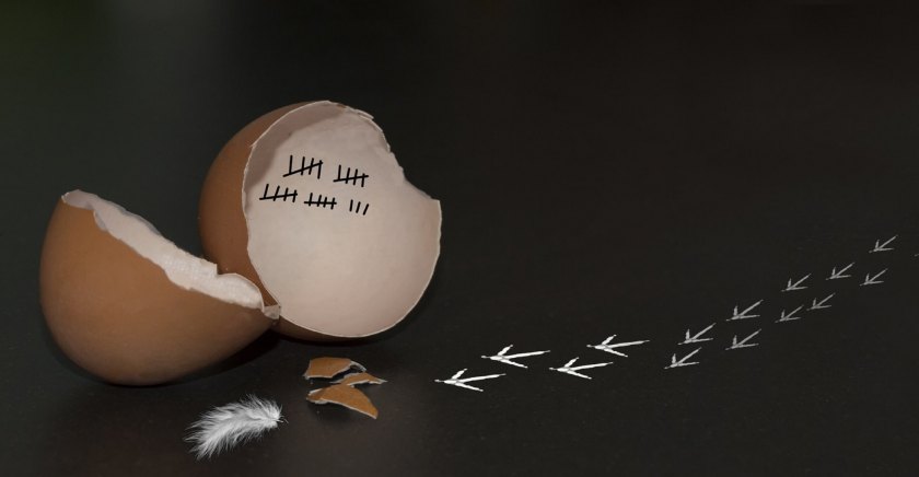 Psikolojik Doğum Sırası