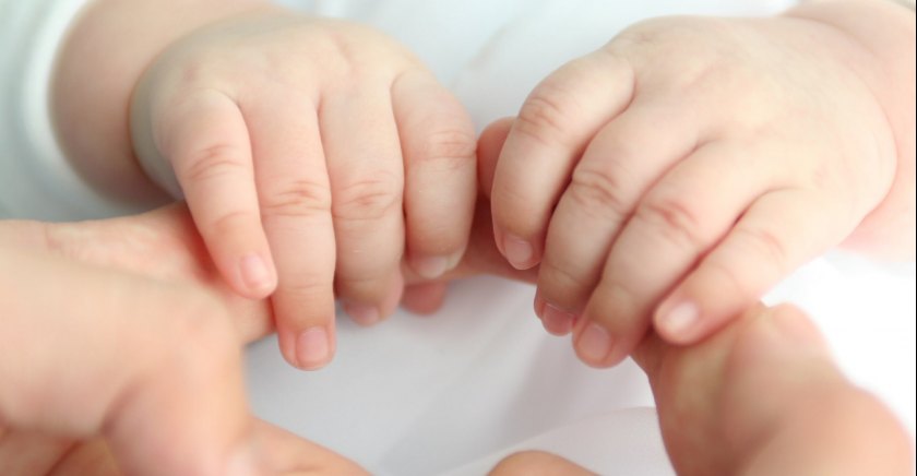 Şemaların Oluşumunda Hangi Faktörler Etkilidir? Şemaların Oluşumunda Hangi Faktörler Etkilidir?