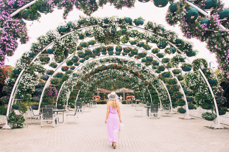 Dubai Miracle Garden