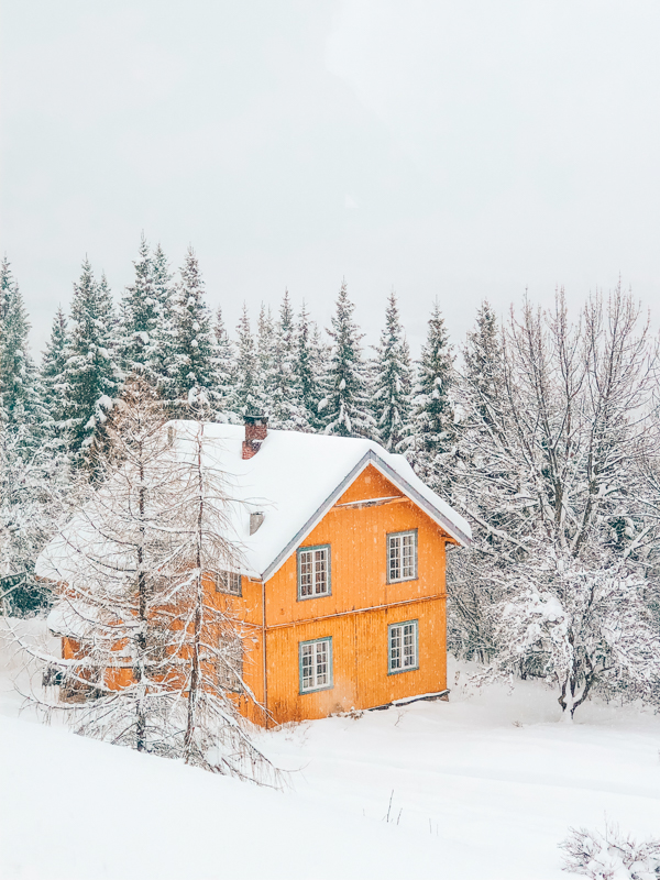 manzara norveç oslo bergen treninden