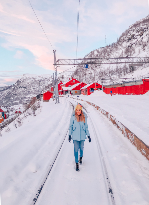 oslo bergen treni myrdal istasyonu