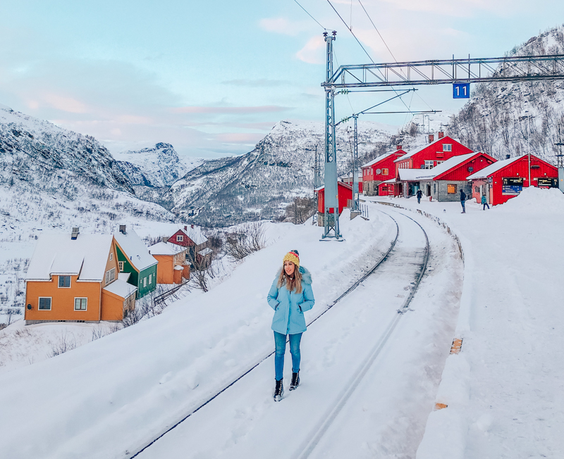 oslo bergen ulaşımı tren ve myrdal istasyonu